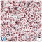 BeadTin White Opaque 6mm Cube Plastic Alpha Beads - Red Letter Mix (200pcs)